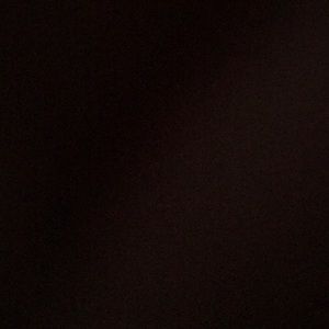 Meet your Posher, Xavier